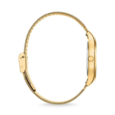 TWA0361/ Thomas Sabo Yellow Gold Stainless Steel Men's Watch