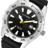 CITIZEN Quartz Black Divers Watch / BI1041-31E