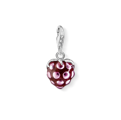 CC1120 / Raspberry Thomas Sabo Charm